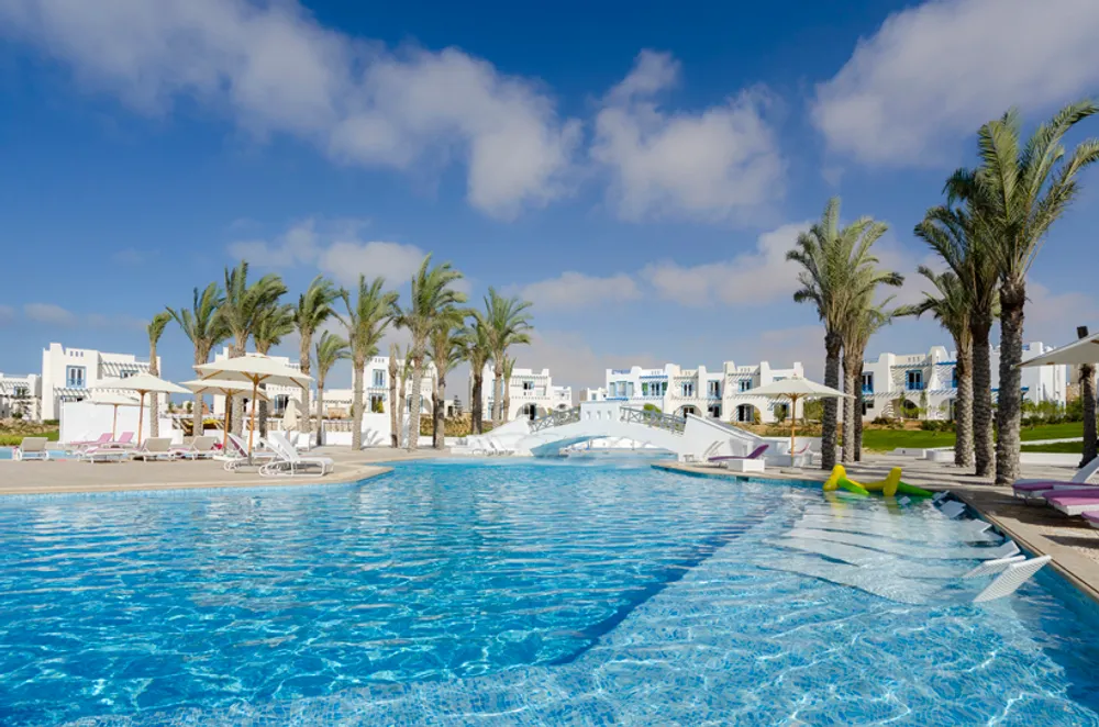 ماونتن فيو راس الحكمة